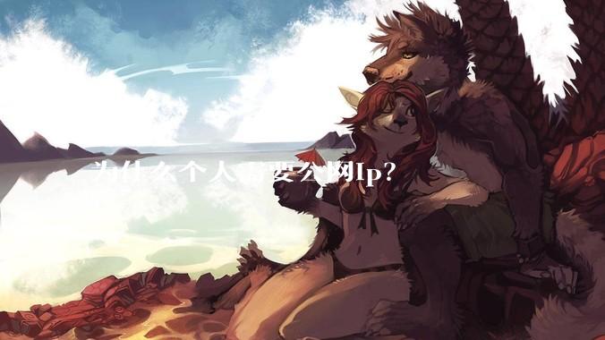 为什么个人需要公网ip？
