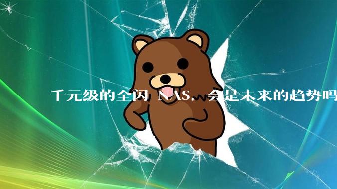 千元级的全闪 NAS，会是未来的趋势吗？