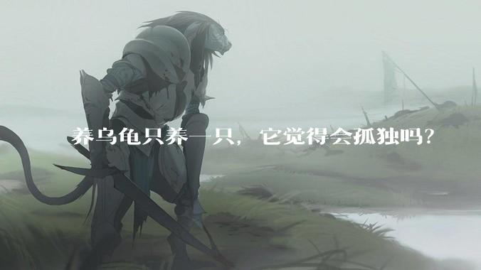 养乌龟只养一只，它觉得会孤独吗？