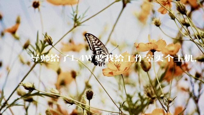 导师给了1.4W要我给工作室买个主机，是整机还是自己配？