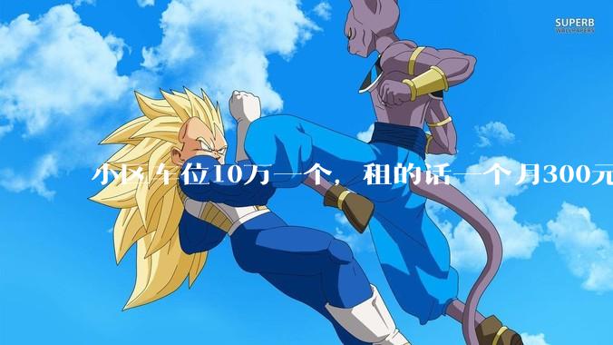 小区车位10万一个，租的话一个月300元，还有必要买车位吗？