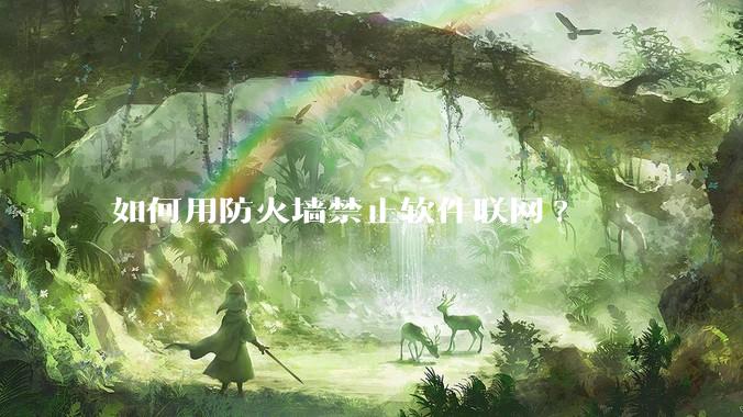 如何用防火墙禁止软件联网?