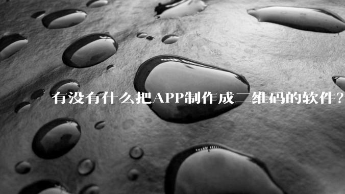 有没有什么把APP制作成二维码的软件？