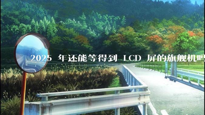 2025 年还能等得到 LCD 屏的旗舰机吗？