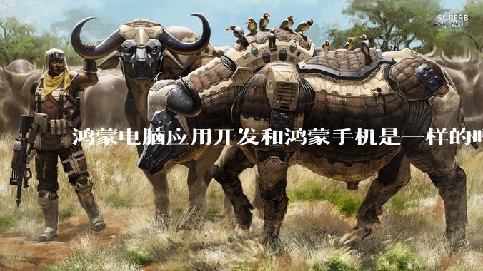 鸿蒙电脑应用开发和鸿蒙手机是一样的吗？