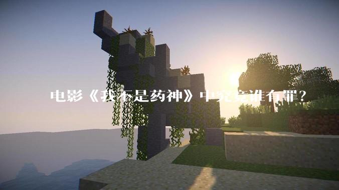 电影《我不是药神》中究竟谁有罪？