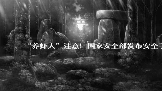 “养虾人”注意！国家安全部发布安全手册_龙虾_OpenClaw_智能