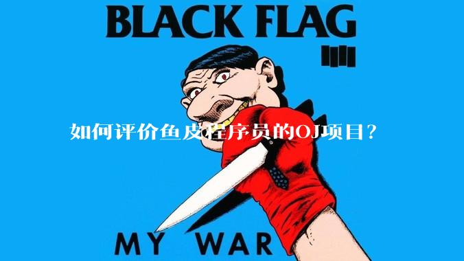 如何评价鱼皮程序员的OJ项目？