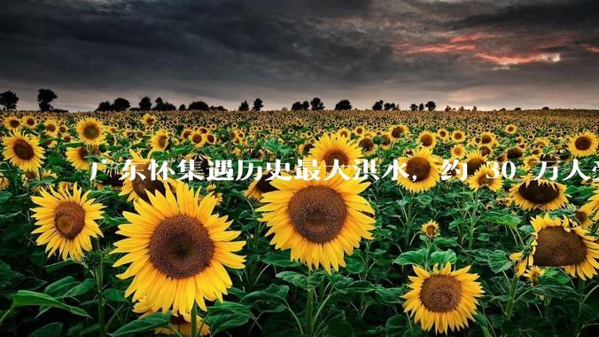 广东怀集遇历史最大洪水，约 30 万人受灾，积水最深处达 3 米，目前当地情况如何？