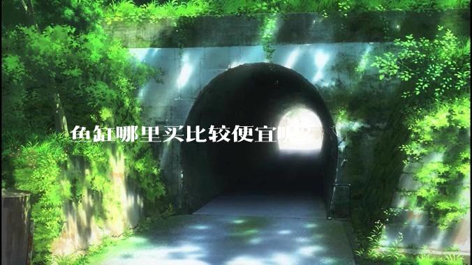 鱼缸哪里买比较便宜呢？