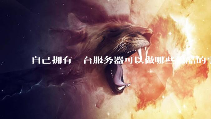 自己拥有一台服务器可以做哪些很酷的事情？