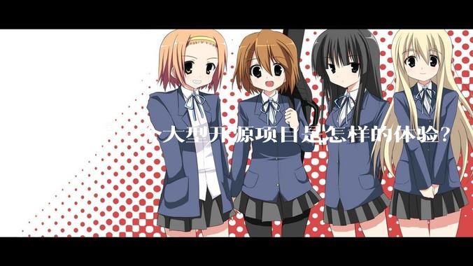 维护一个大型开源项目是怎样的体验？