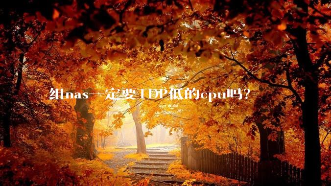组nas一定要TDP低的cpu吗？