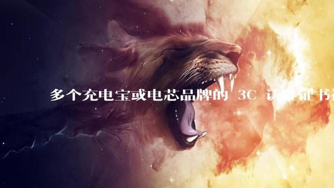 多个充电宝或电芯品牌的 3C 认证证书被暂停，涉及罗马仕、安克、绿联、倍思、安普瑞斯等，发生了什么？