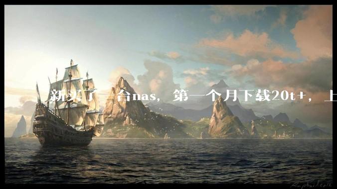 新买了一台nas，第一个月下载20t+，上传5+，不会被网警盯上吧?