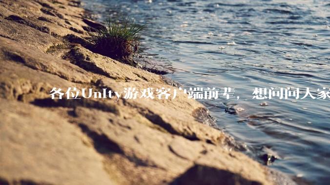 各位Unity游戏客户端前辈，想问问大家要找到一份工作还需要学什么?