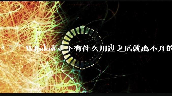Windows 下有什么用过之后就离不开的冷门软件？