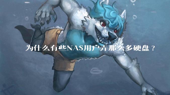 为什么有些NAS用户弄那么多硬盘?